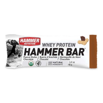 Hammer Nutrition Hammer Protein Recovery Bar