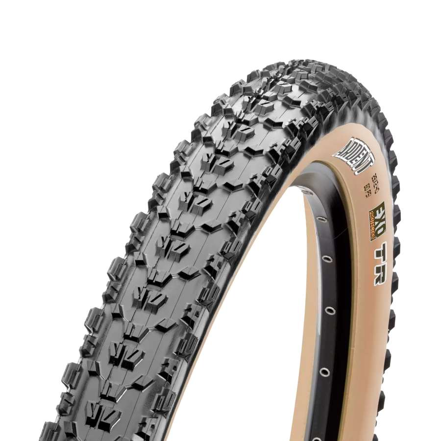 Skinwall - Maxxis Ardent EXO/TR