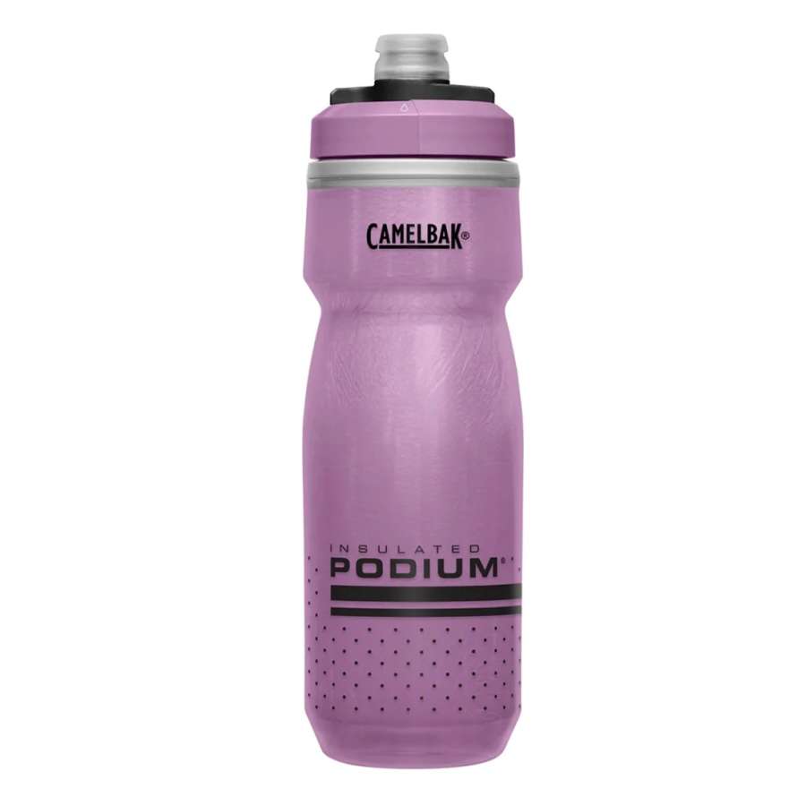 Purple - CamelBak Podium Chill Bottle 21 oz (0.6 lt)