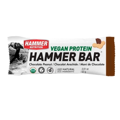 Hammer Nutrition Vegan Protein Recovery Bar
