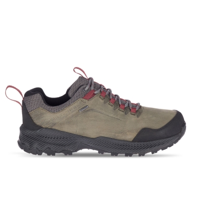 Merrell Forestbound Men´s - Zapatos de Trekking