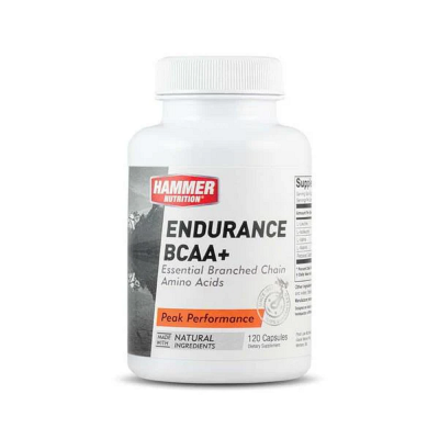 Hammer Nutrition Endurance BCAA+ (Aminoacidos)