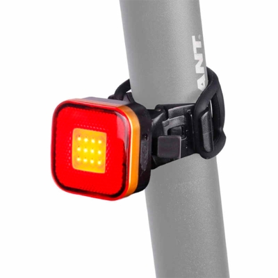 Raypal Taillight