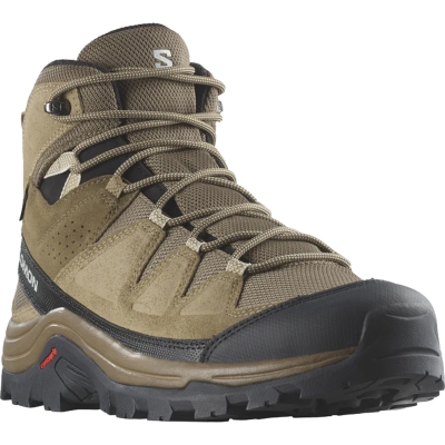 Salomon Quest Rove Gtx
