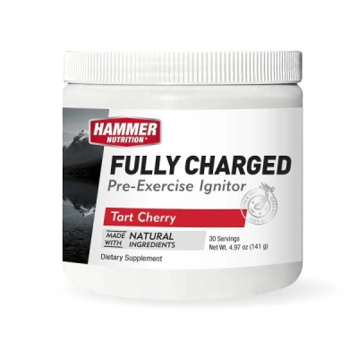 Hammer Nutrition Fully Charged