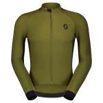 Fir Green