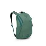 Pine Leaf Green