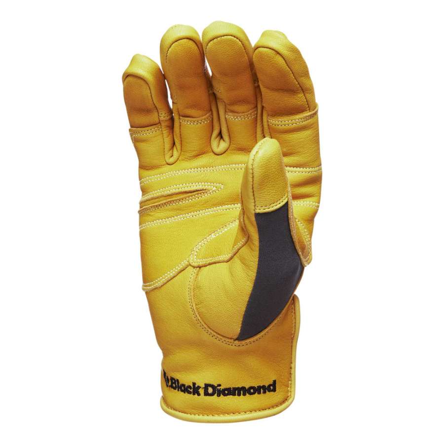  - Black Diamond Transition Glove