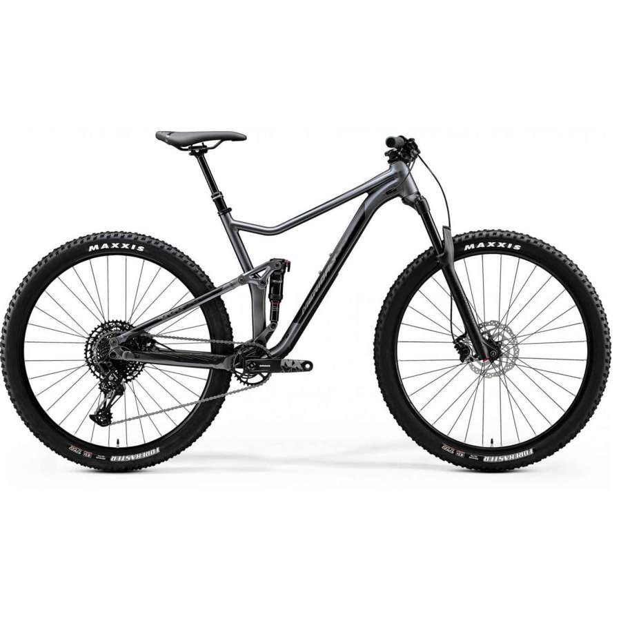 Silk Anthracite(Dark Silver) - Merida Bikes 2020 One-Twenty 9.600