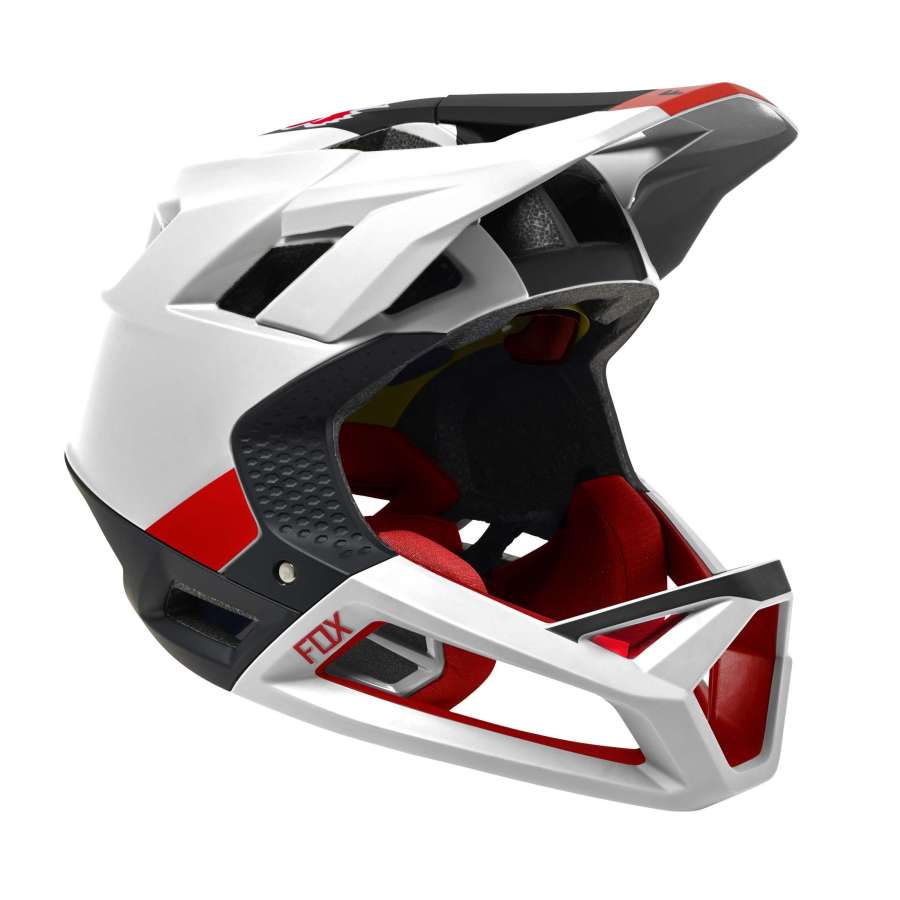 Blk/Wht - Fox Racing Proframe Helmet