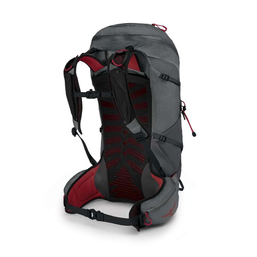  - Osprey Talon Pro 30