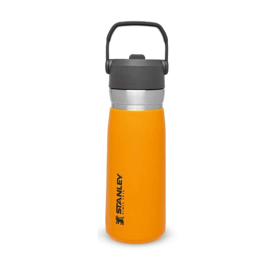Saffron - Stanley Flip Straw Water Bottle