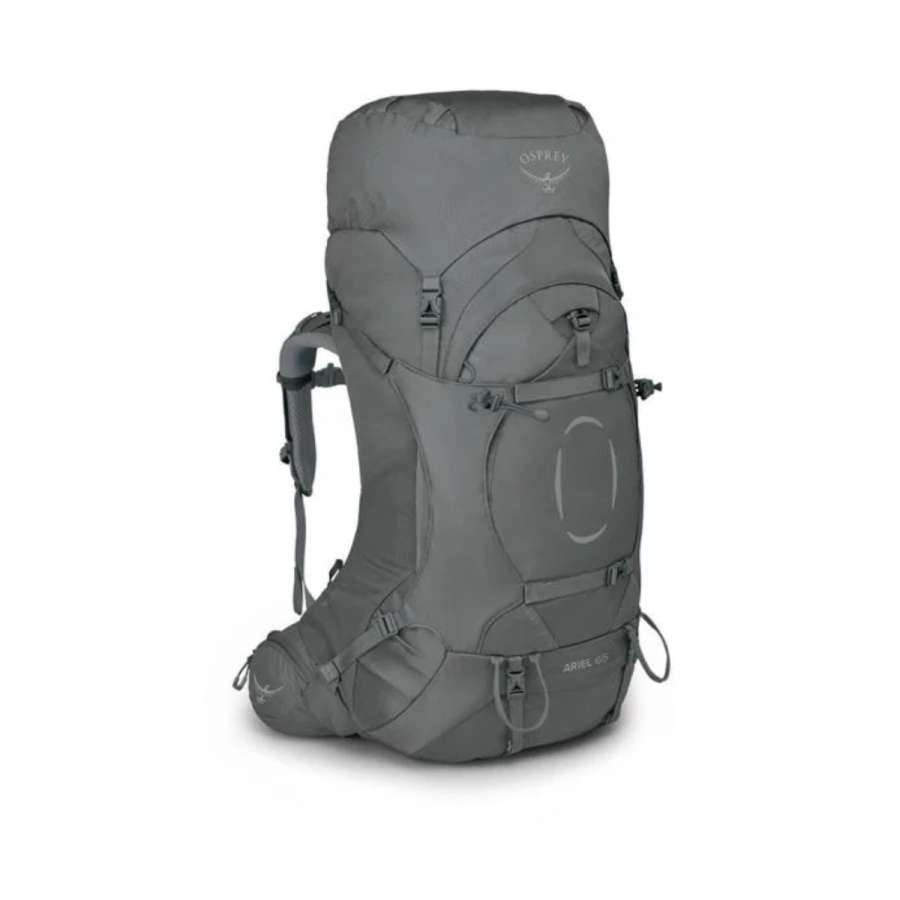Gray - Osprey Ariel 65