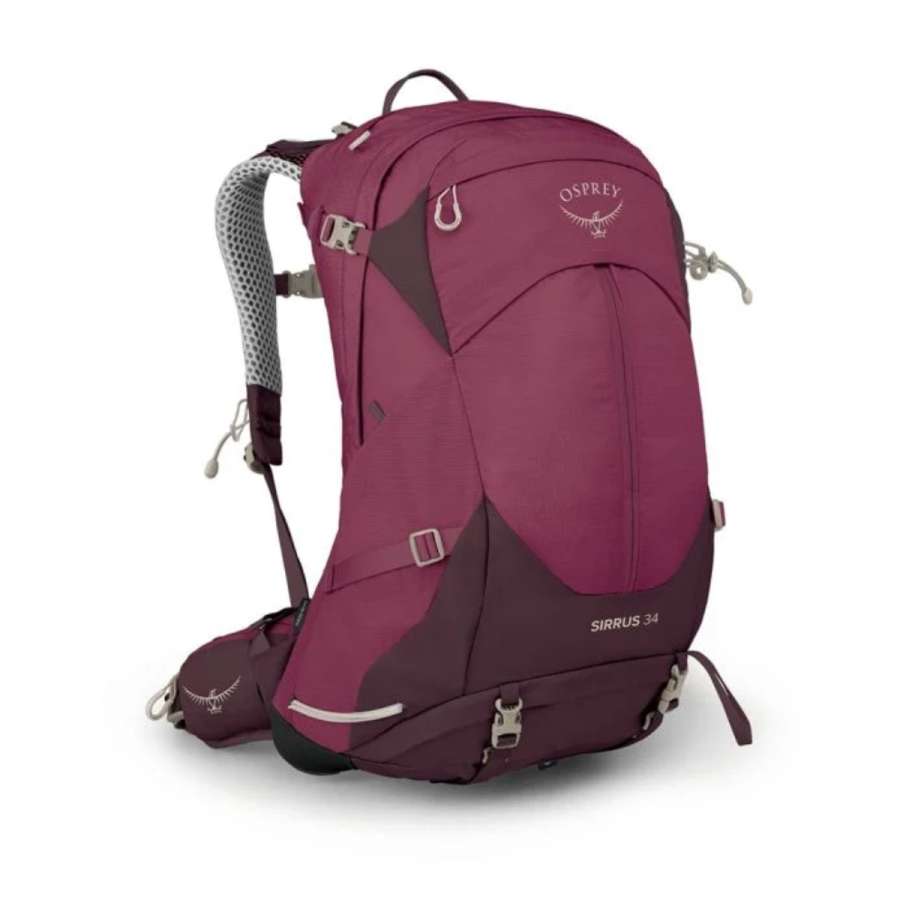 Elderberry Purple/Chiru Tan - Osprey Sirrus 34