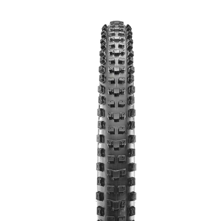  - Maxxis Dissector WT 3CT/Exo+/TR/ 120Tpi
