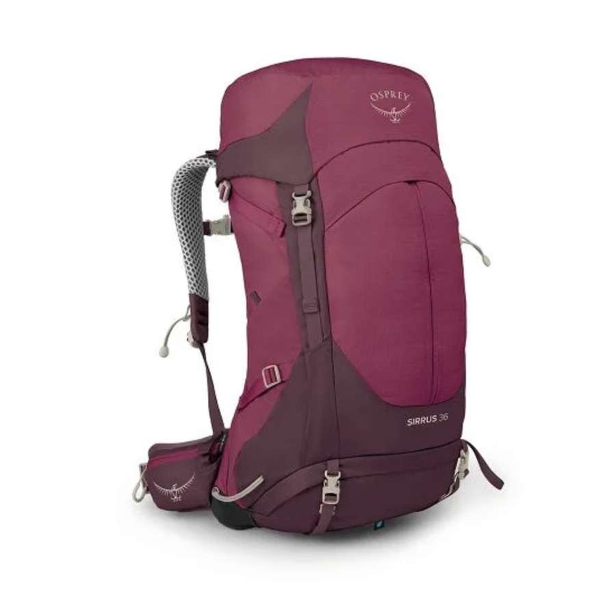 Elderberry Purple/Chiru Tan - Osprey Sirrus 36