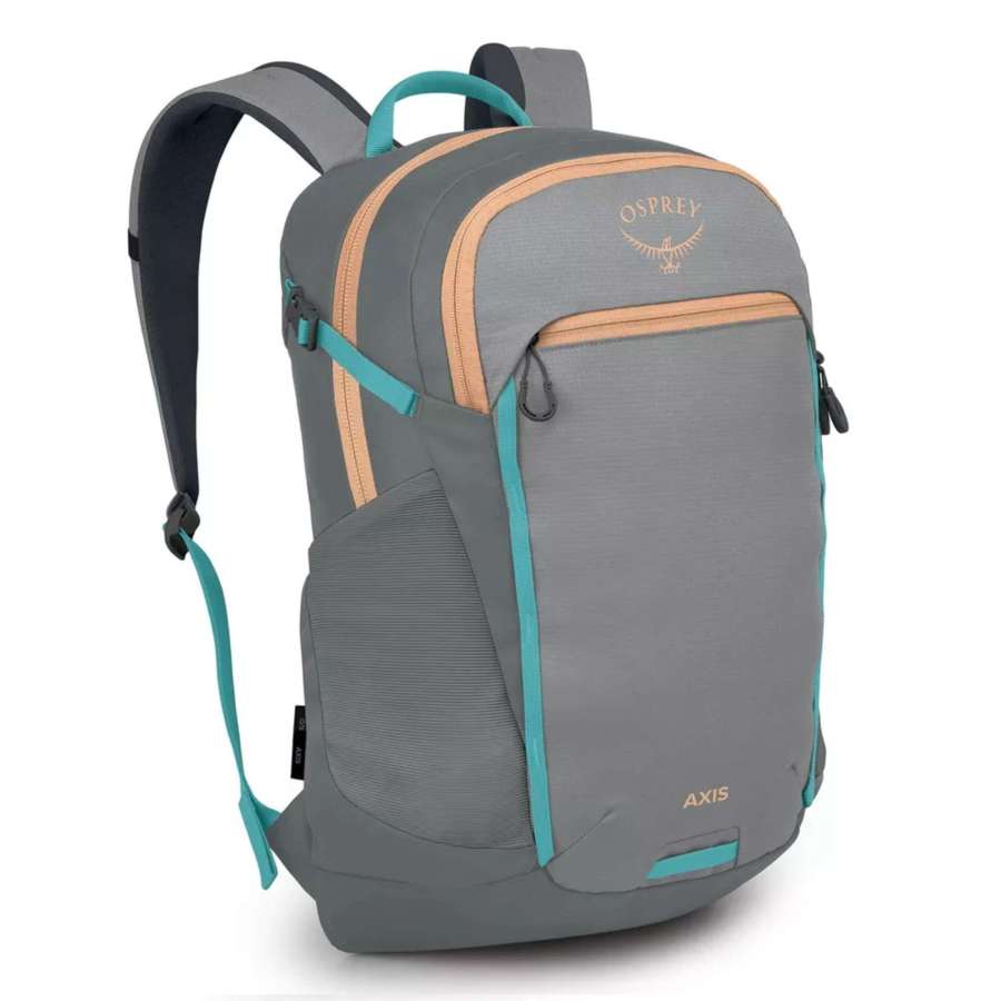 Grey/Coal Grey - Osprey Axis 24L