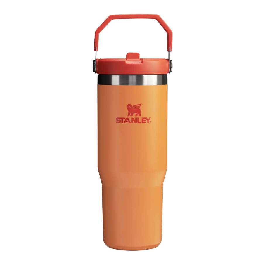 GOLDENROD - Stanley Flip Straw Tumbler 30oz