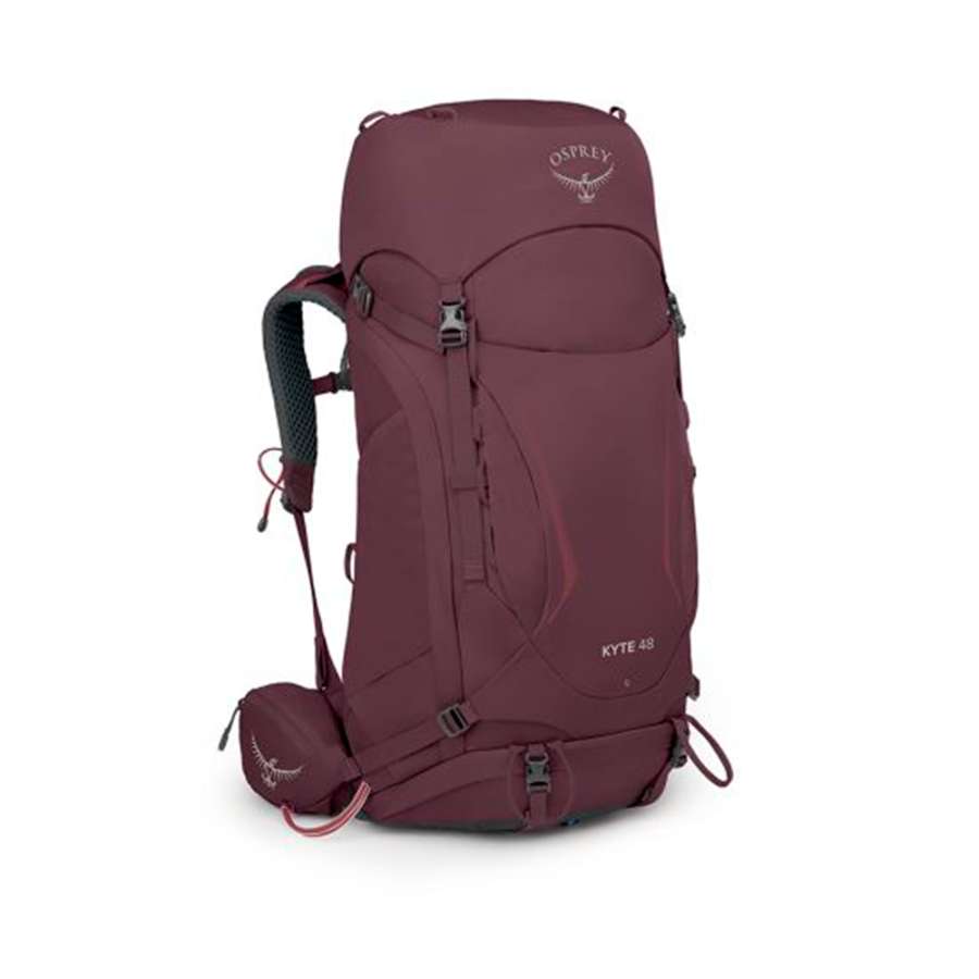 Elderberry Purple - Osprey Kyte 48