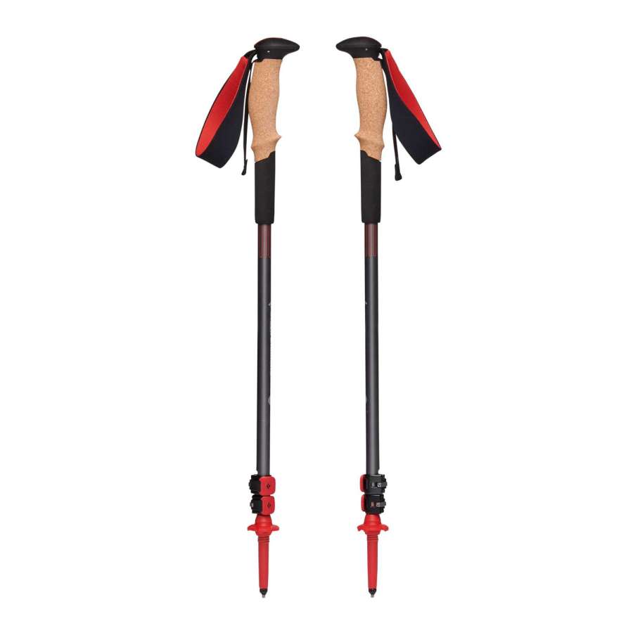 STEEL GREY-OCTANE - Black Diamond Pursuit Shock Trekking Poles