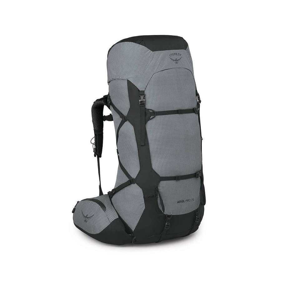 Silver Lining - Osprey Ariel Pro 75