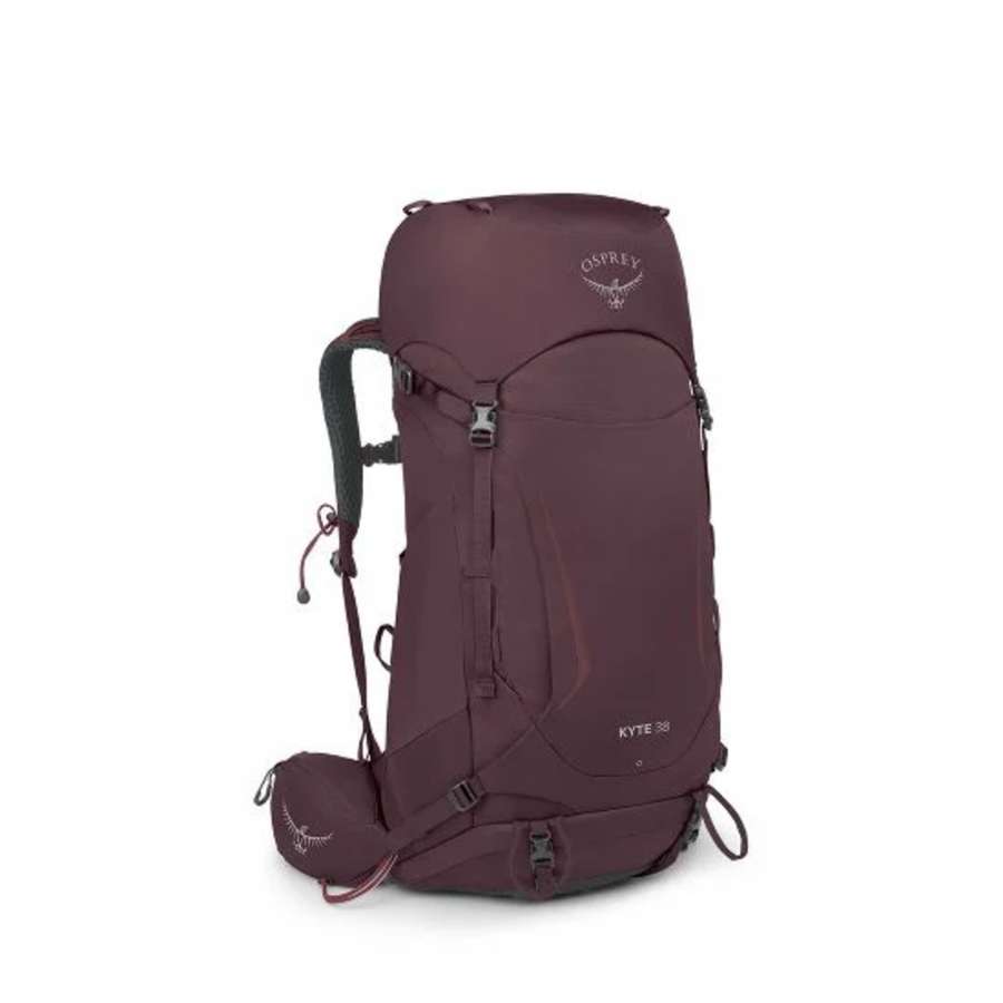 Elderberry Purple - Osprey Kyte 38