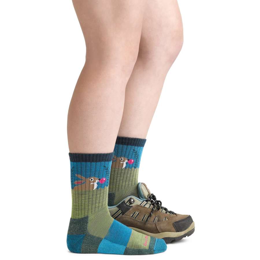  - Darn Tough Kids Bubble Bunny Jr. Micro Crew Lightweight Hiking Sock