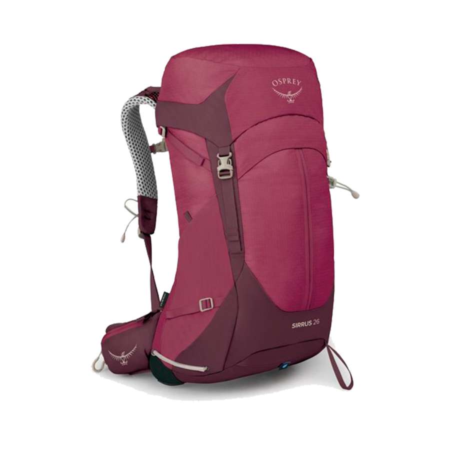 Elderberry Purple/Chiru Tan - Osprey Sirrus 26