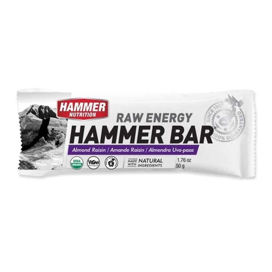 Almond Raisin - Hammer Nutrition Hammer Bar