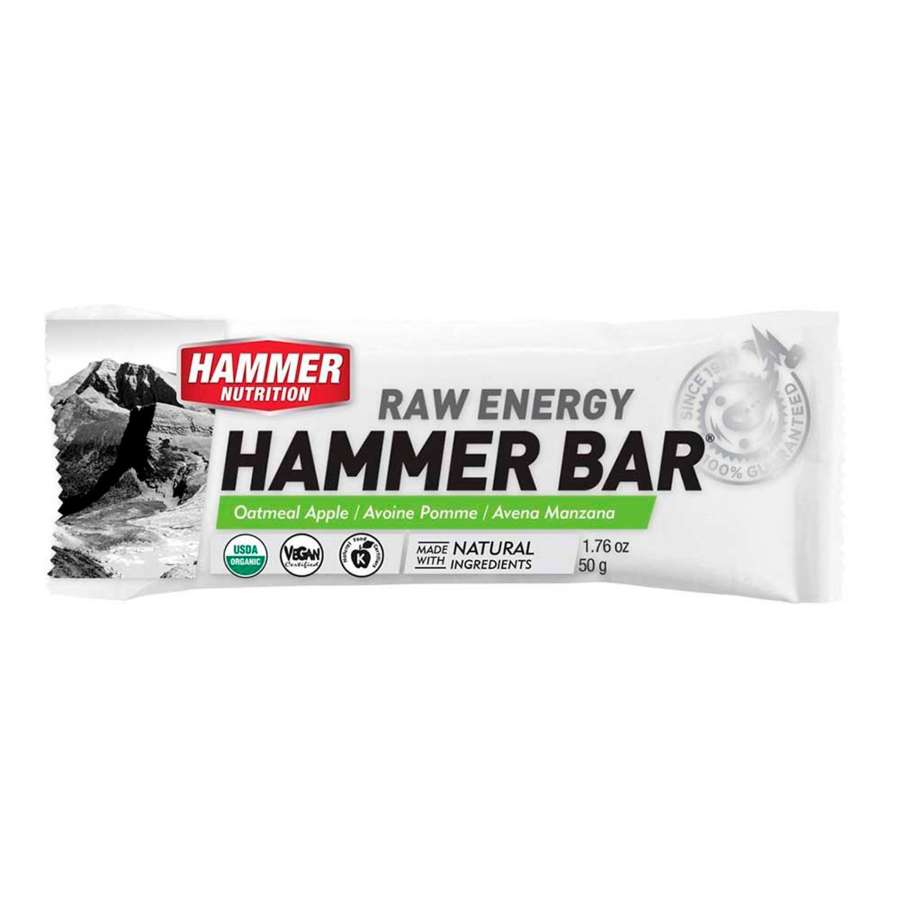 Oatmeal Apple - Hammer Nutrition Hammer Bar