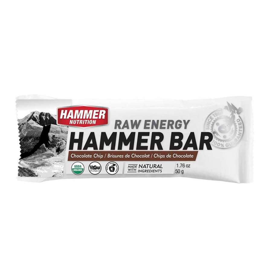 Chocolate Chip - Hammer Nutrition Hammer Bar