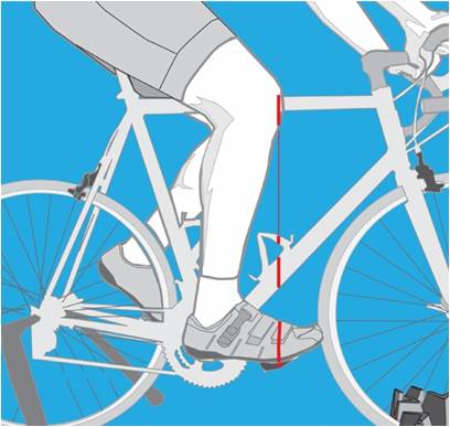 varilla Emulación Leia Posición correcta en la Bicicleta